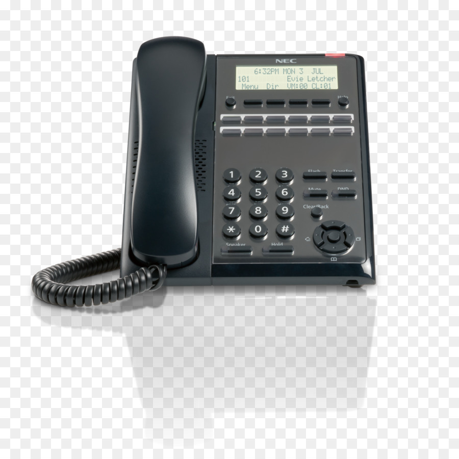 ธุรกิจโทรศัพท์ของระบบ，โทรศัพท์ PNG