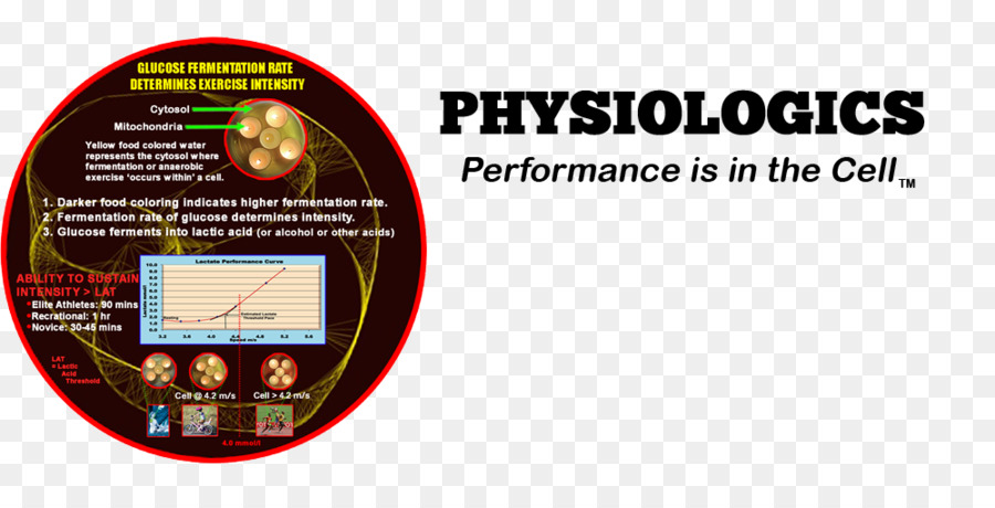 Physiologics，สุขภาพ PNG