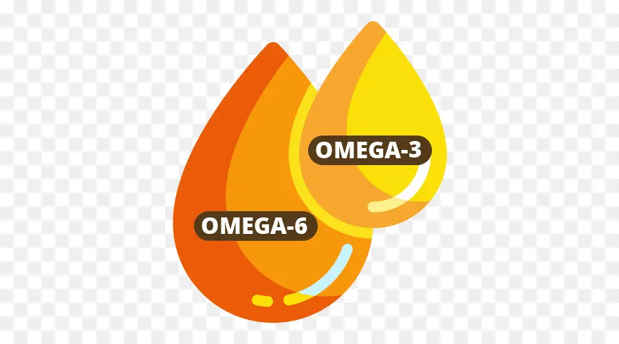 โลโก้，กรด Gras Omega3 PNG
