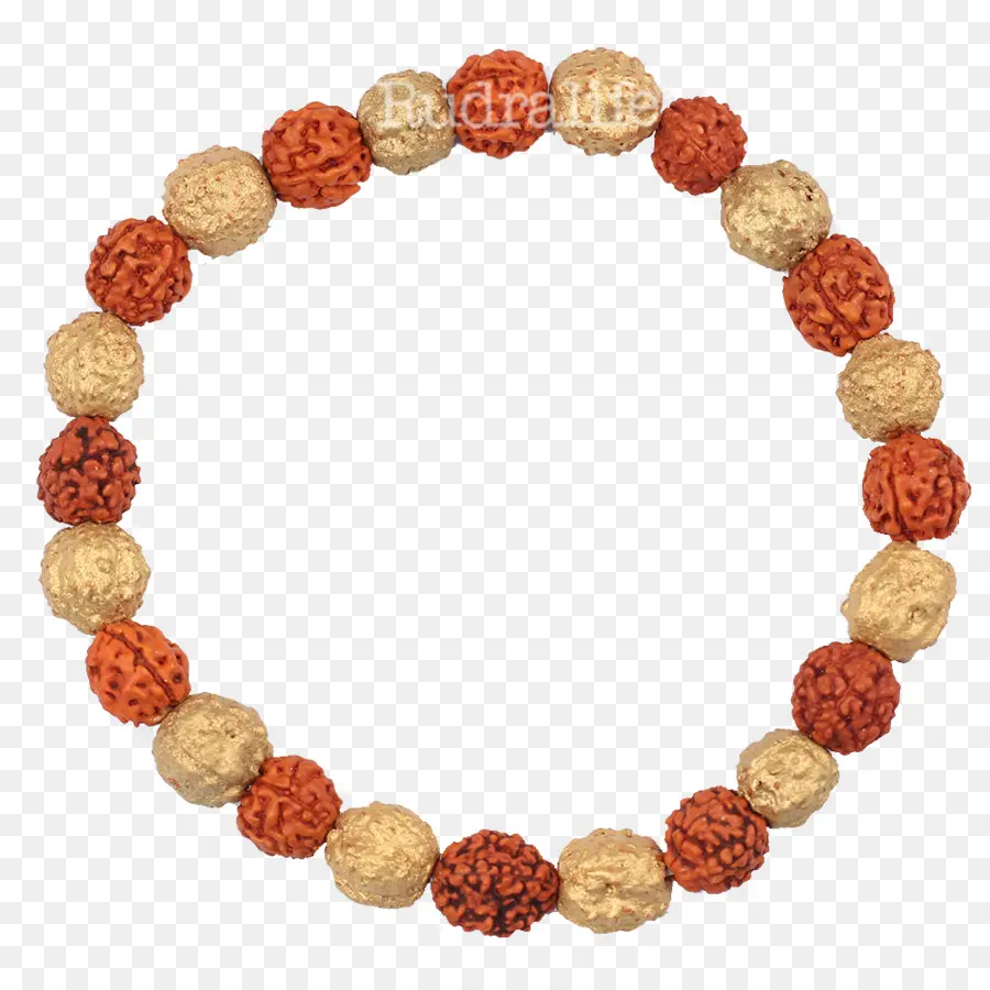 สร้อยข้อมือลูกปัด，Rudraksha PNG