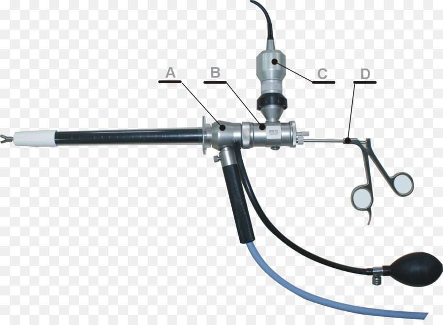 Rectoscopy，Proctoscopy PNG