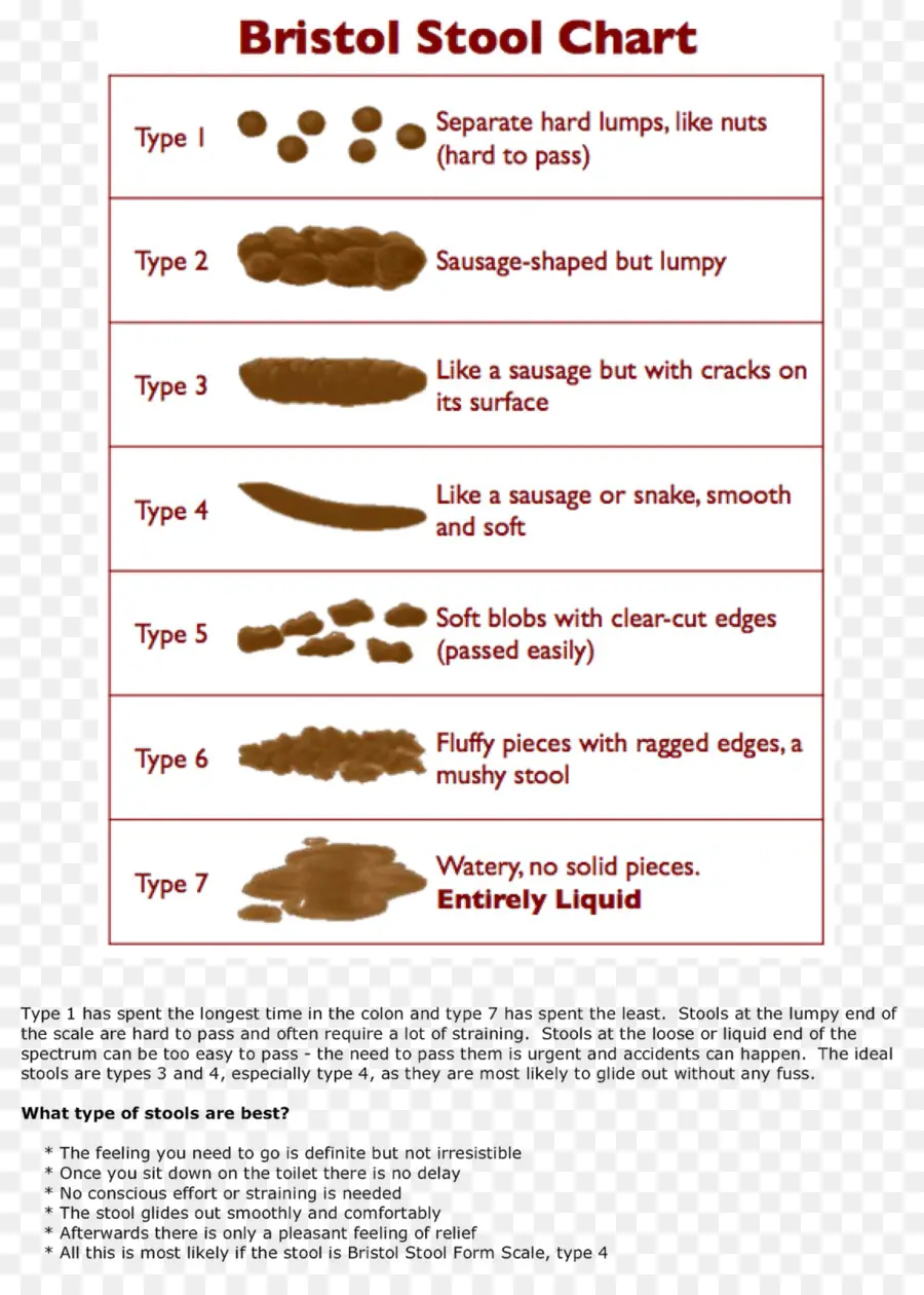 แผนภูมิอุจจาระบริสตอล，ประเภทอุจจาระ PNG