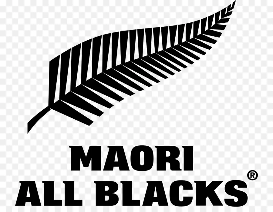 โลโก้ Maori All Blacks，รักบี้ PNG