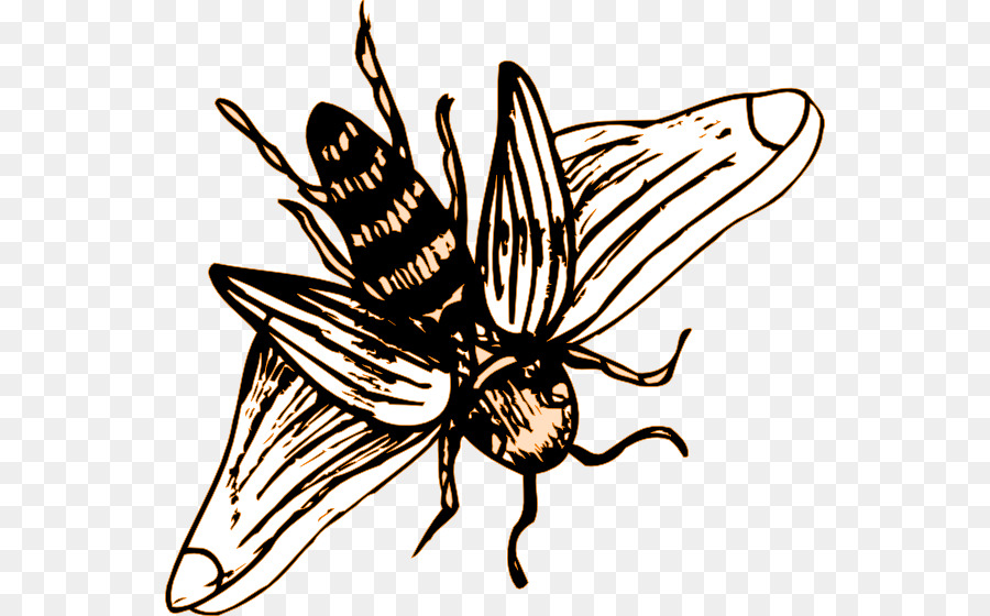 Brushfooted ผีเสื้อ，ยุโรปมือนผึ้ง PNG