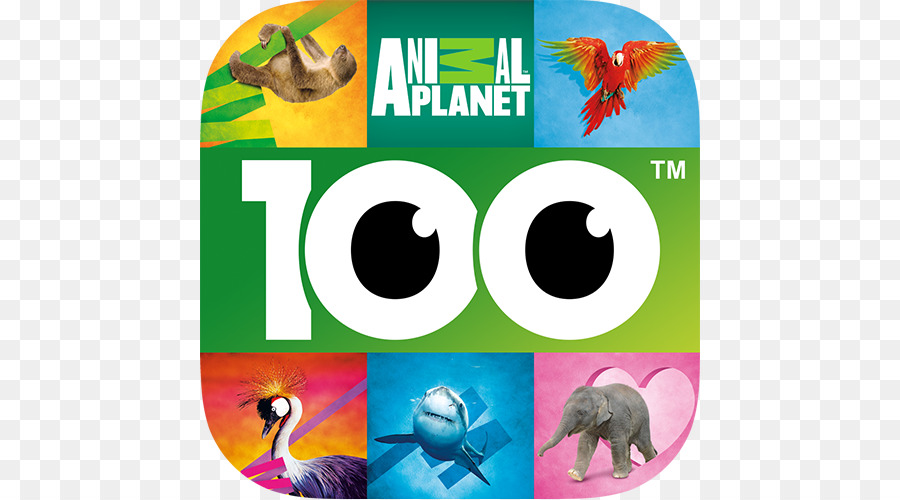 โลโก้ Animal Planet，สัตว์ PNG