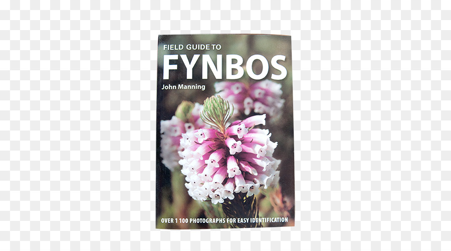Fynbos，สนามเม Fynbos PNG