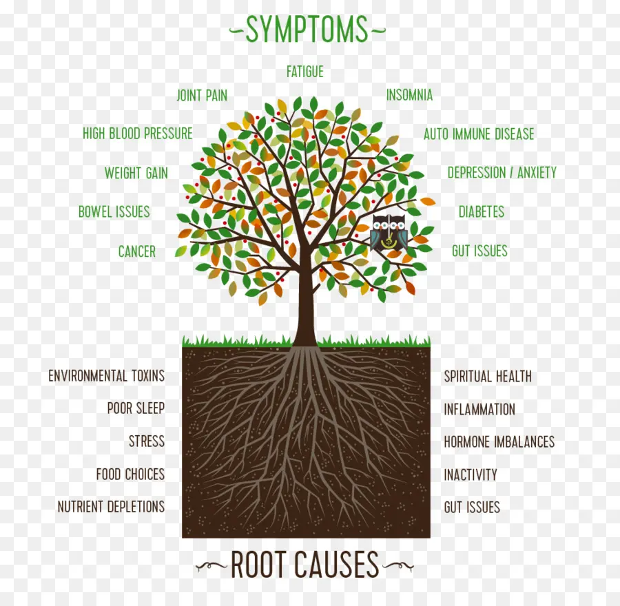 ต้นไม้ของอาการ，สุขภาพ PNG