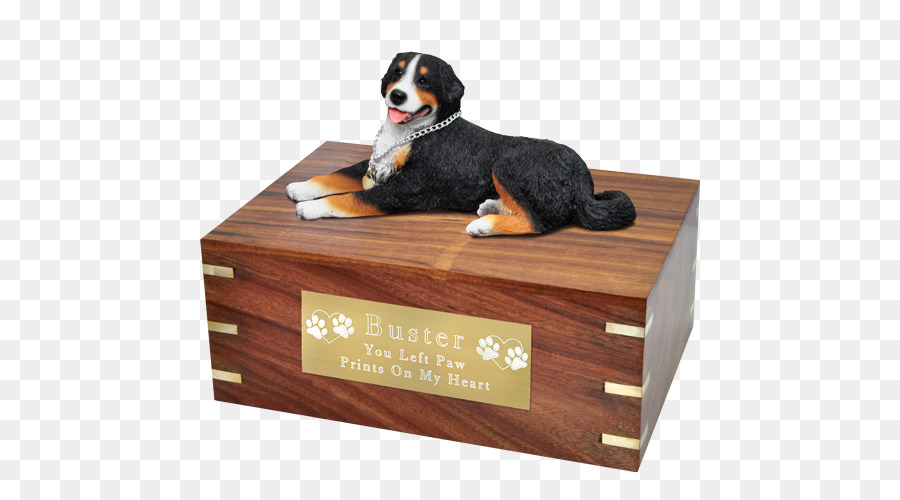 สุนัขพันธุ์，Bernese ภูเขาลูกหมา PNG