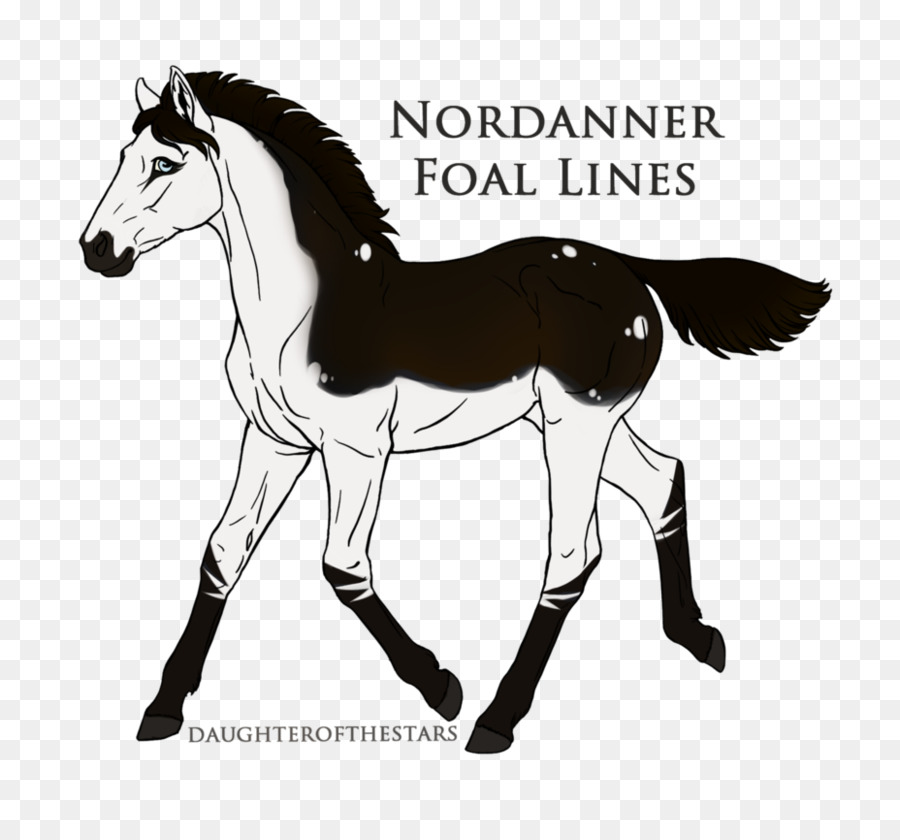 นู，Foal PNG