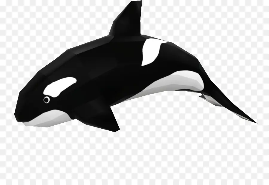 Orca，วาฬ PNG