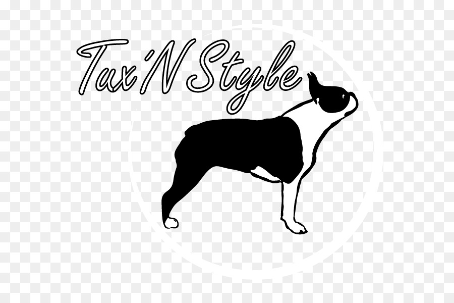 บอสตัน Terrier，สุนัขพันธุ์ PNG