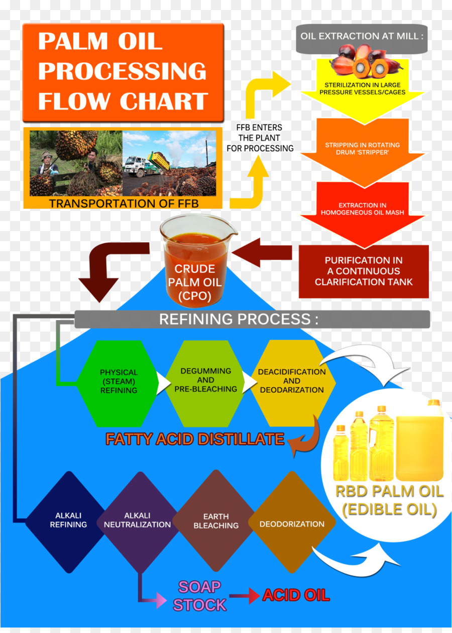 แปรรูปน้ำมันปาล์ม，กระบวนการกลั่น PNG