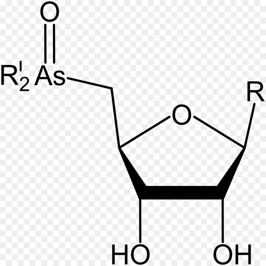 Caprylic กรด，Methionine PNG