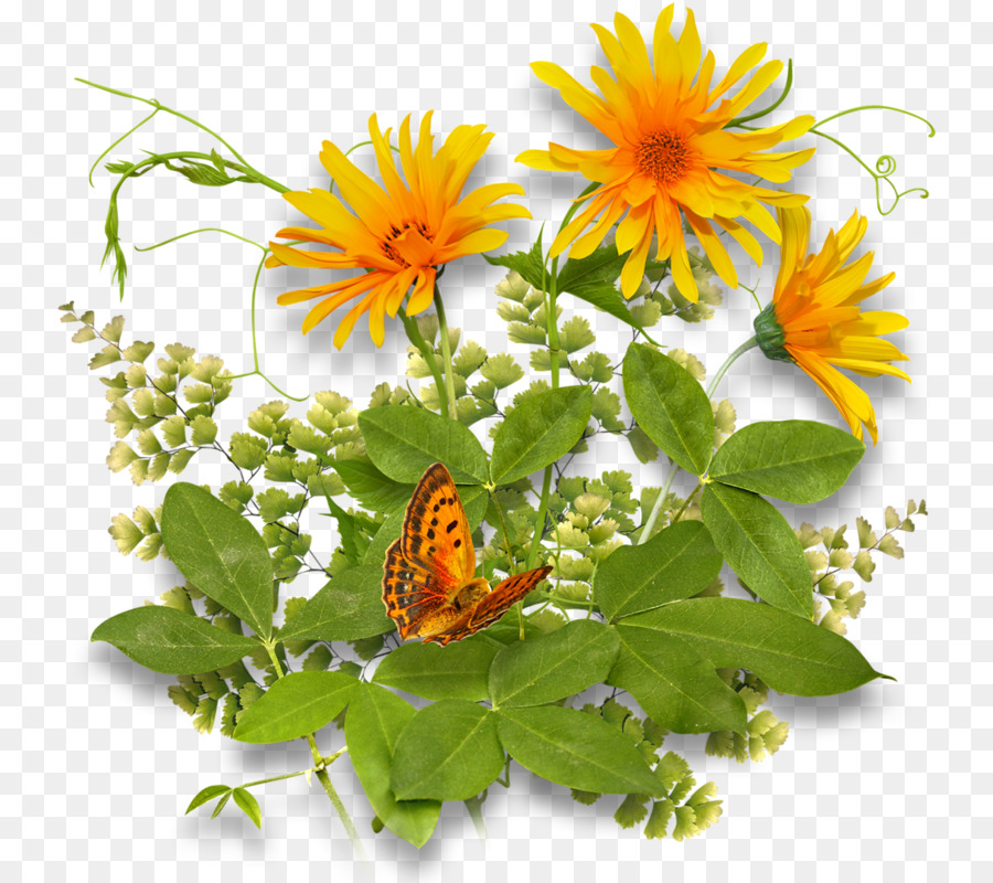 ดอกไม้，ความโปร่งแสงและความโปร่งแสง เทียม PNG