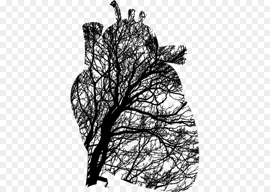 ต้นไม้หัวใจ，ธรรมชาติ PNG