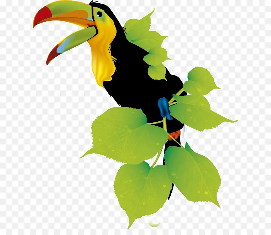 Toucan，ออกจาก PNG