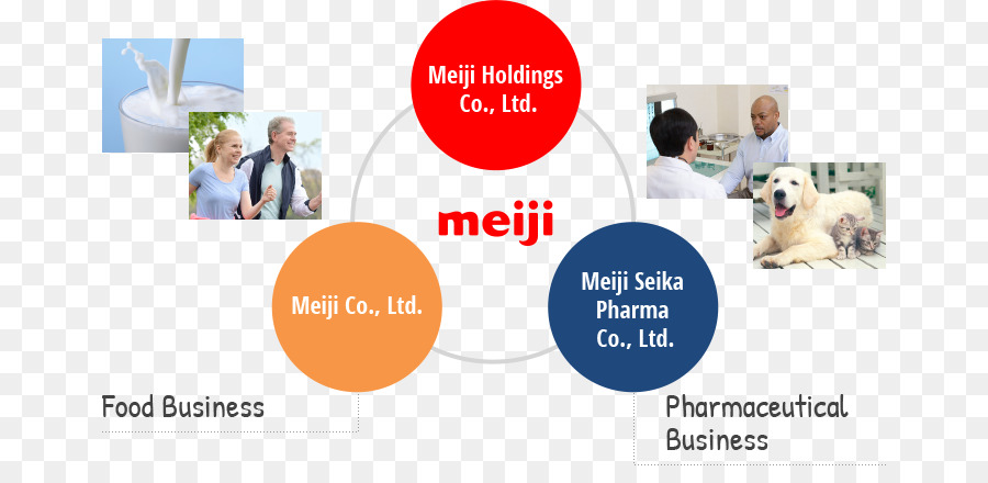 Meiji ช่วงเวลา，Meiji Holdings เพื่อนร่วม Ltd PNG