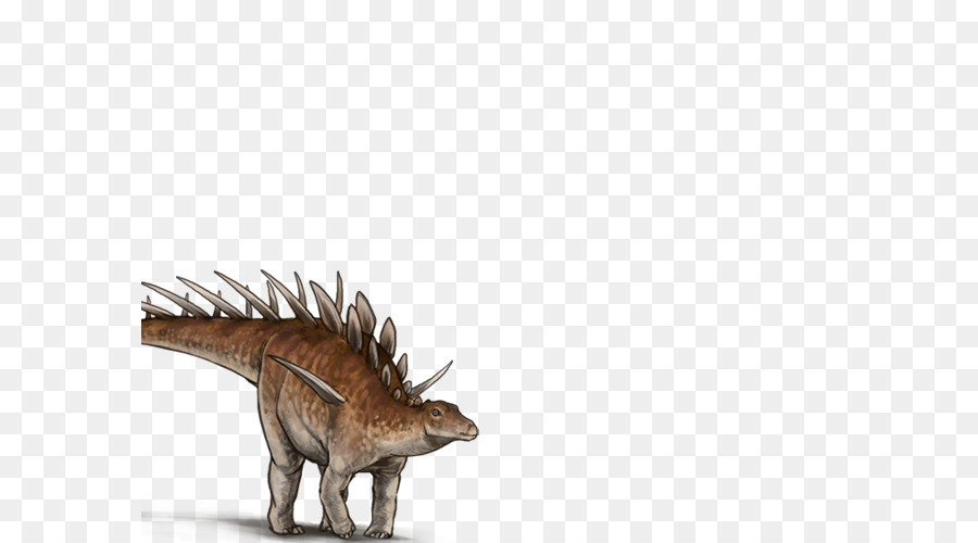 ไดโนเสาร์เต่าล้านปี，Felidae PNG