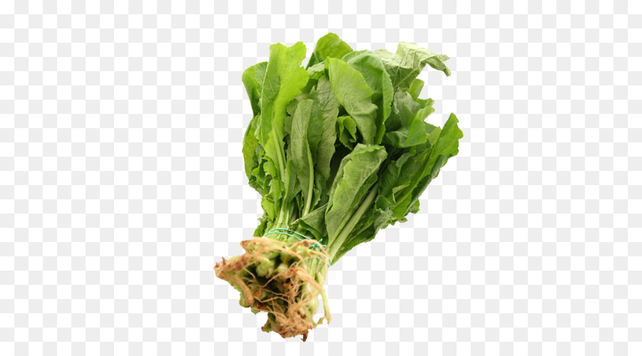 Romaine ผักกาดหอม，Rapini PNG