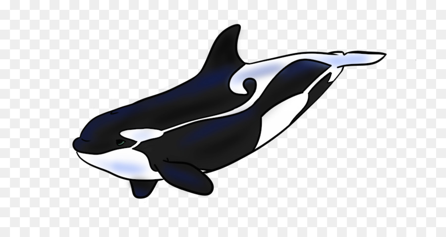 Orca，วาฬ PNG