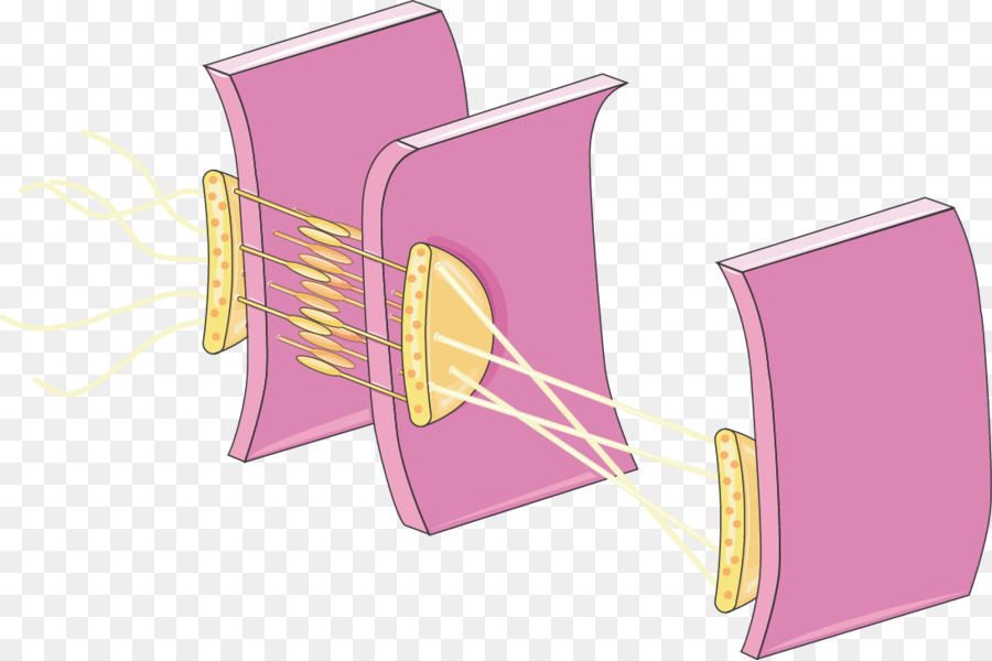 เยื่อ，เรียบง่าย Columnar Epithelium PNG