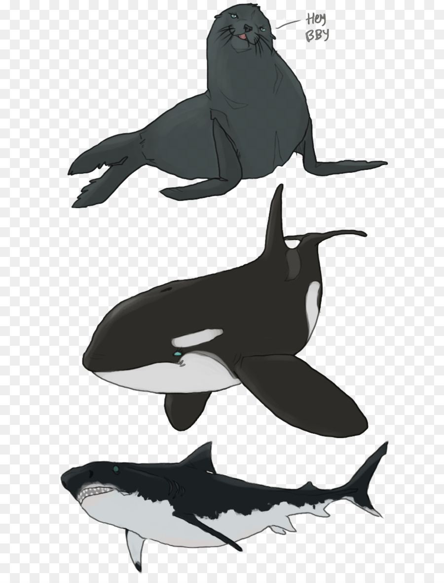 ฆาตรกรวาฬ，มุมมองของดอลฟิน PNG