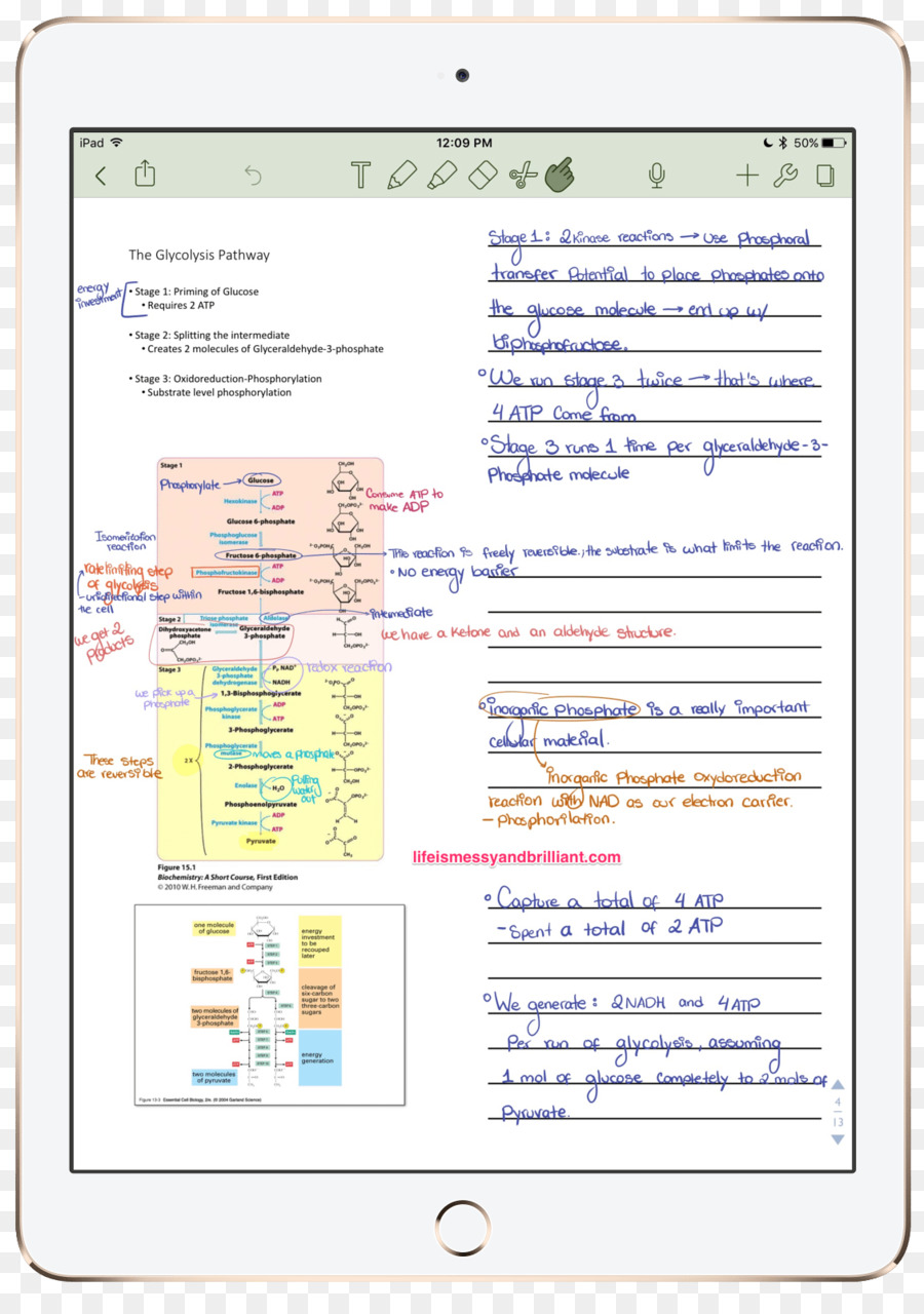 แล็ปท็อป，สมุดบันทึกไว้ PNG