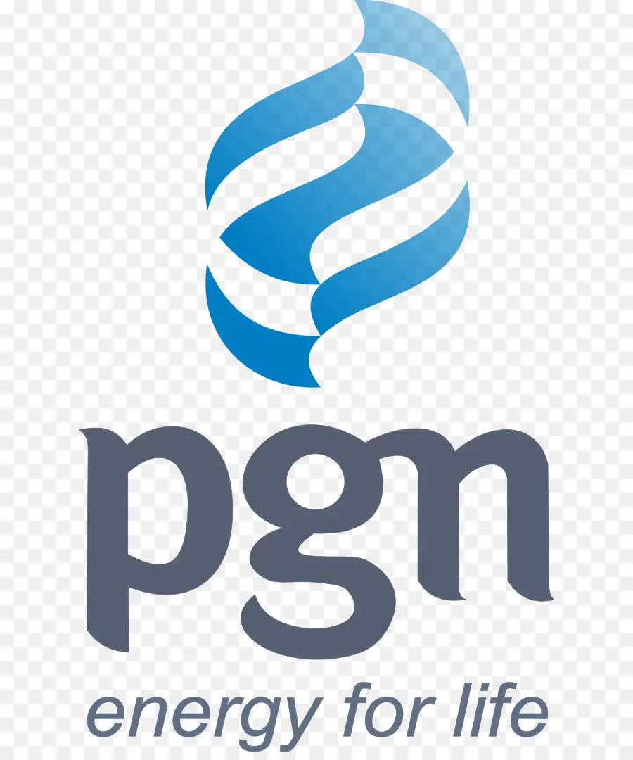 รัฐองบริษัทแก๊ส，Pertamina PNG