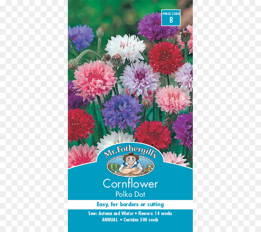 Cornflower，ดอกไม้ PNG