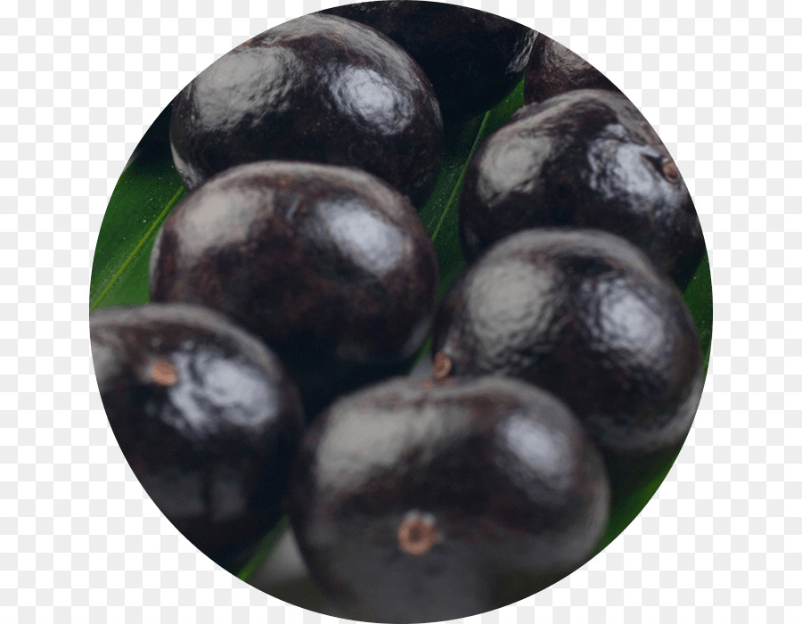 บลูเบอร์รี่，Bilberry PNG