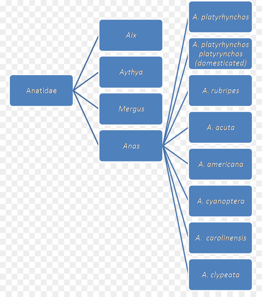 องค์กร，ความเสี่ยงการจัดการ PNG