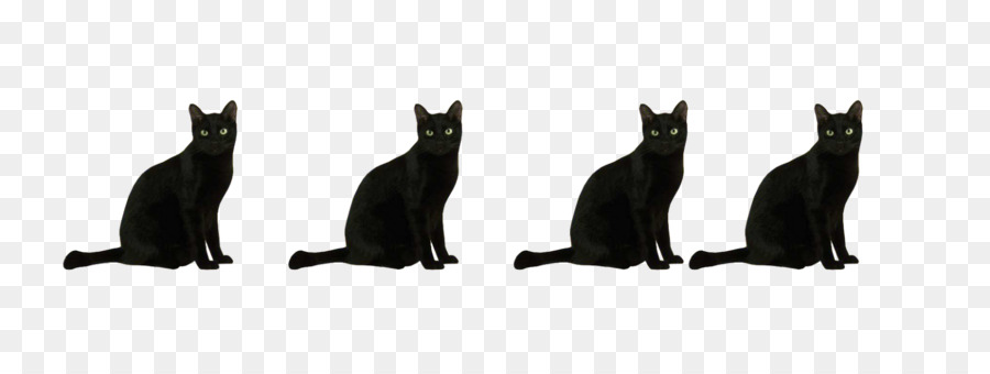 แมว，สีดำ PNG