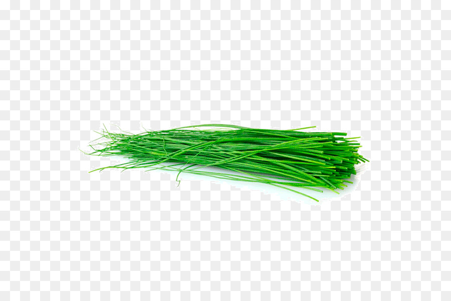 สีเขียว，หญ้า PNG