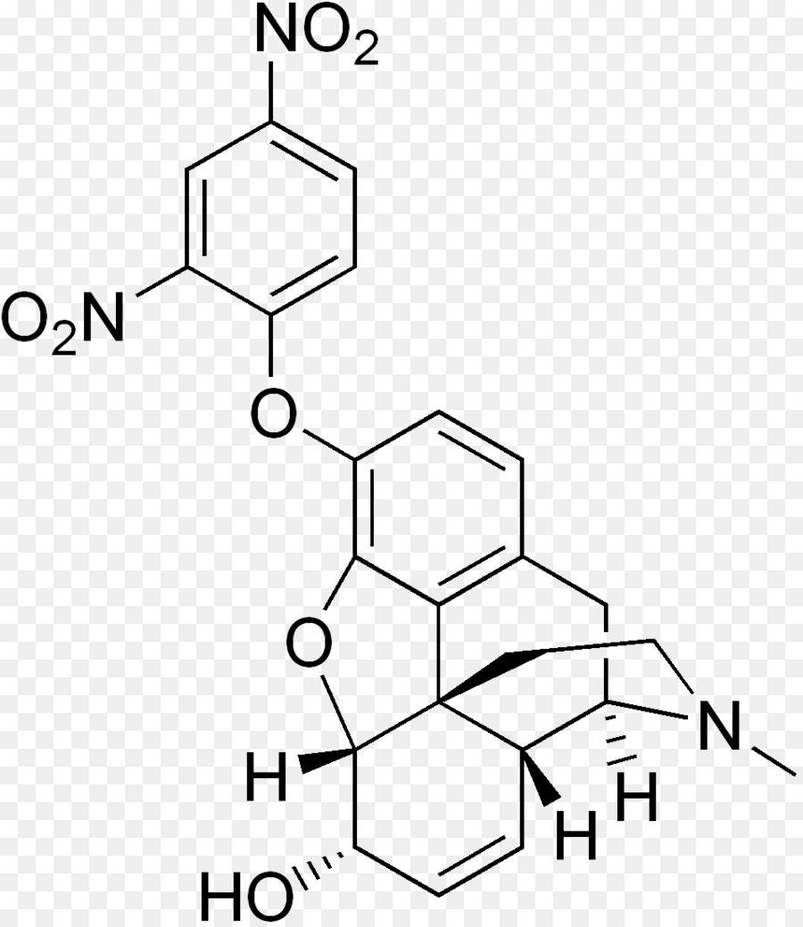 Nphenylacetyllprolylglycine เอทิล，Dietary เสริม PNG