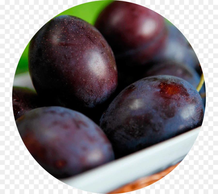 Damson，Color PNG