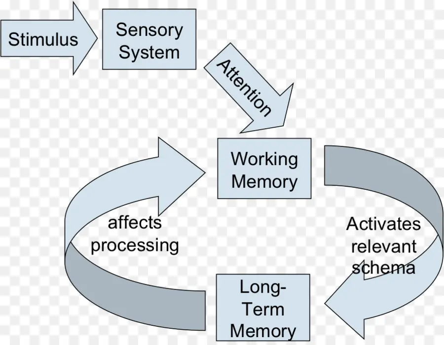 แผนภาพกระบวนการหน่วยความจำ，เกี่ยวกับความรู้ความเข้าใจ PNG