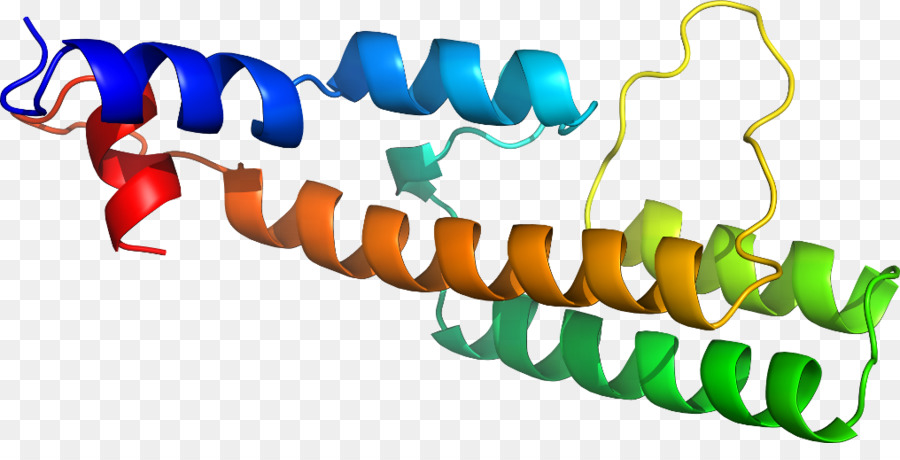 ออกแบบกราฟิ，ดีเอ็นเอ Ligase PNG