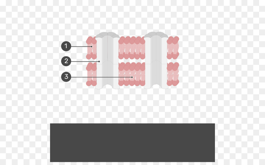 ปิองซัก，Intercalated แผ่นดิสก์ PNG