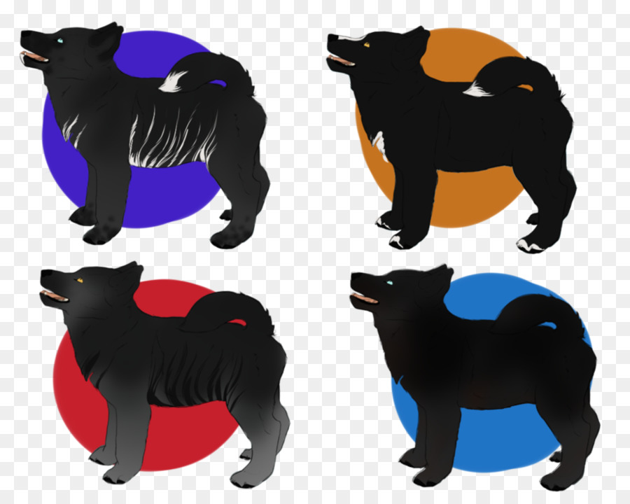 Schipperke，สุนัขพันธุ์ PNG