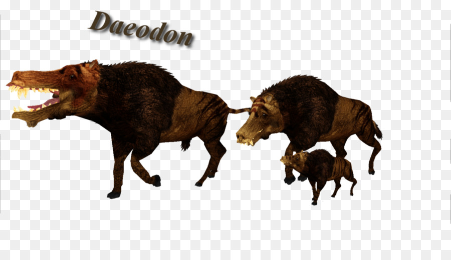 Daeodon，ก่อนประวัติศาสตร์ PNG