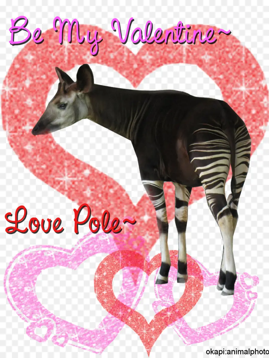 Okapi，วาเลนไทน์ PNG