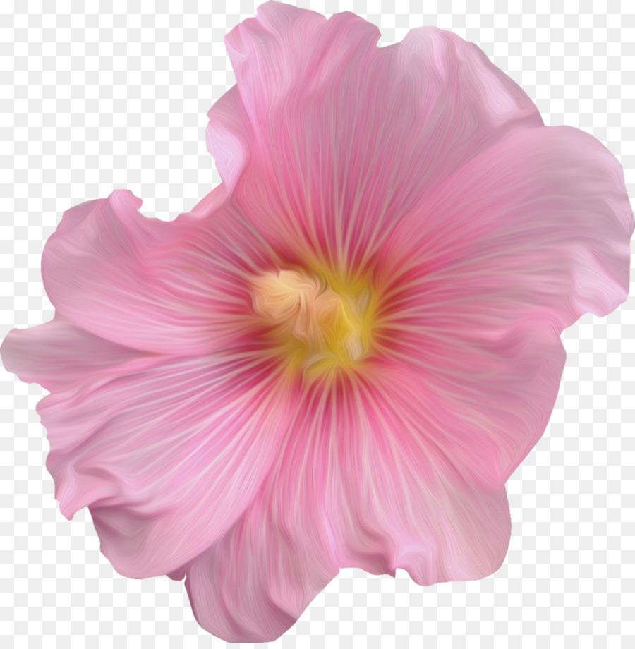 Rosemallows，ตัดดอกไม้ PNG