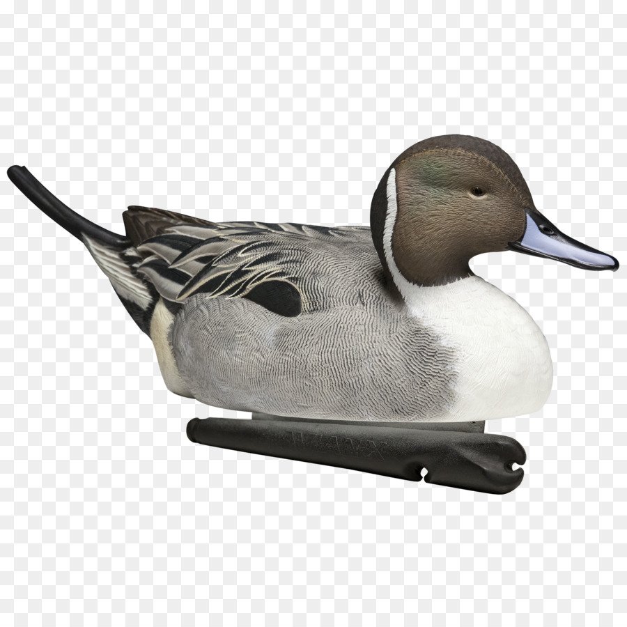 Duck Decoy，นก PNG