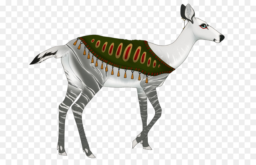 Okapi，กวาง PNG