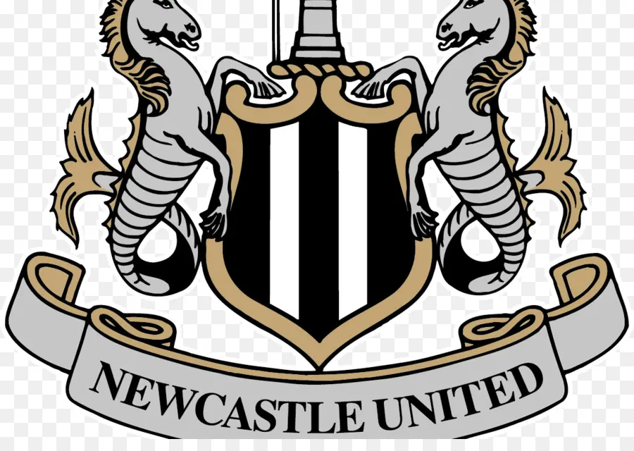 Newcastle United，ฟุตบอล PNG