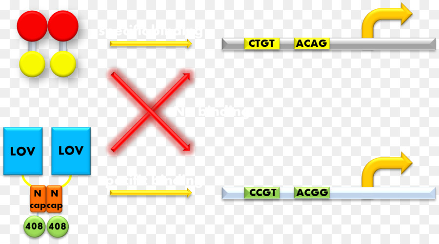 โลโก้，คอมพิวเตอร์ของไอคอน PNG