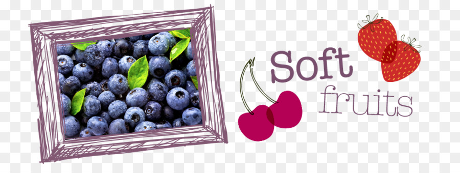 Superfood，Bilberry PNG