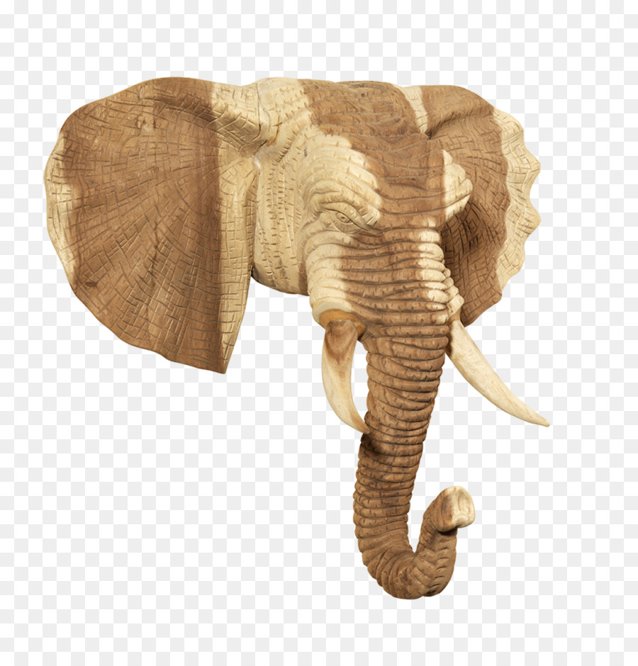แอฟริกันช้าง，เฟอร์นิเจอร์ PNG
