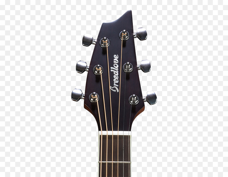 Headstock กีตาร์，สาย PNG