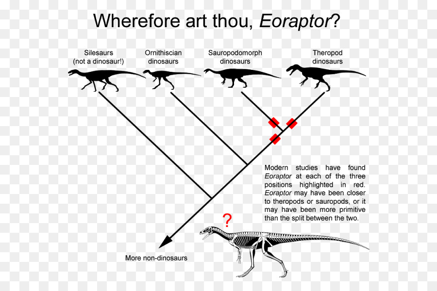 Eoraptor Lunensis，Carnotaurus PNG